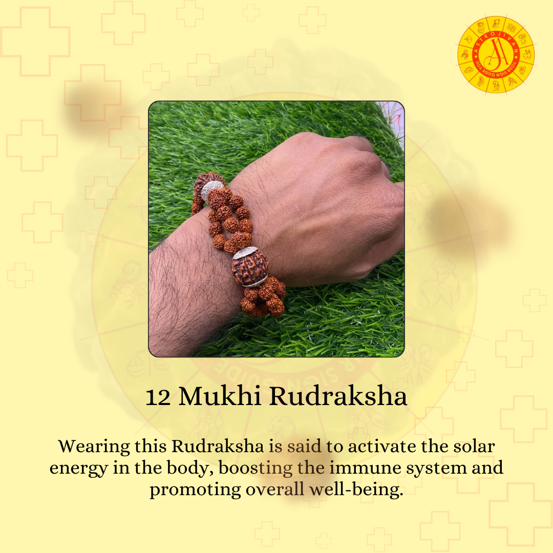 Nepal Origin 12 Mukhi Rudraksha – The Divine Blessing of Lord Sun & Power