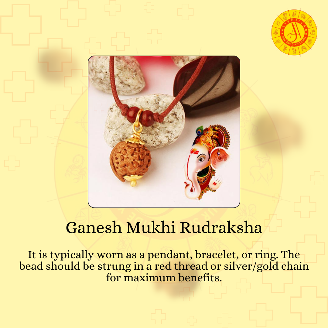Ganesh Mukhi Rudraksha