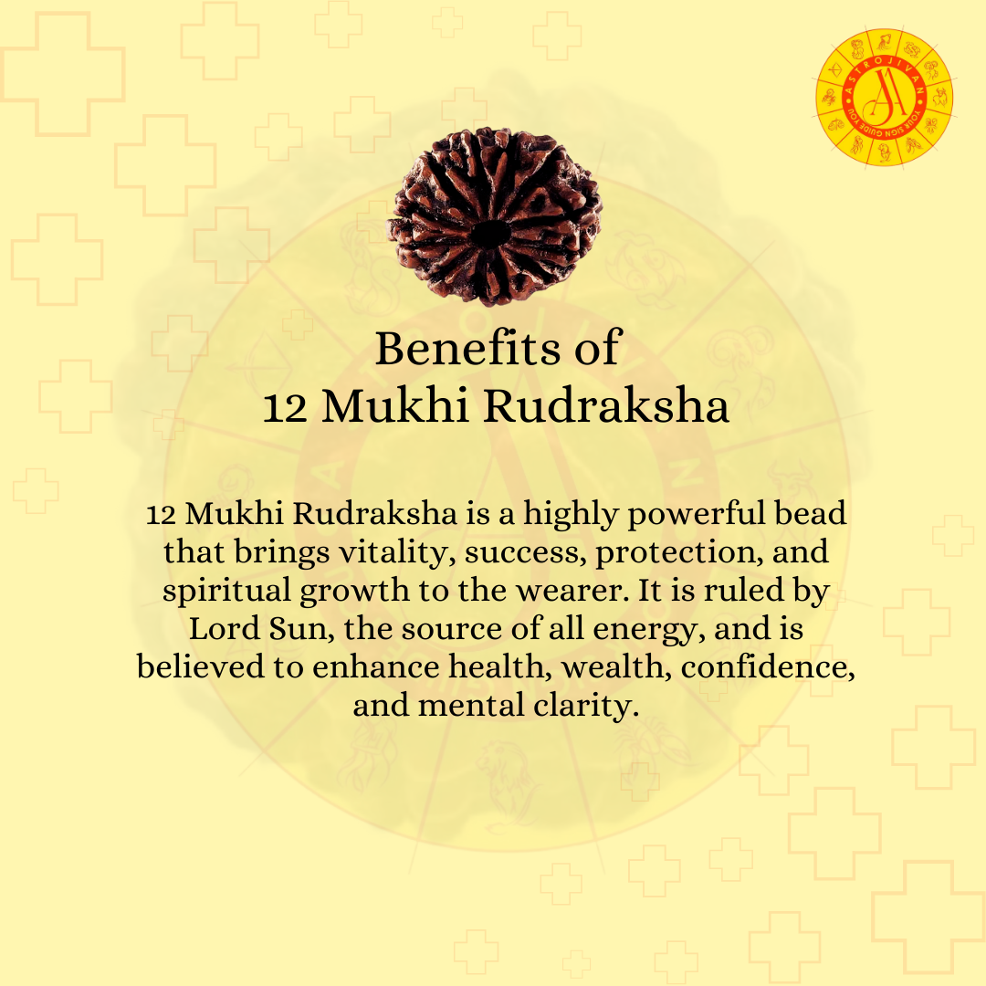 Nepal Origin 12 Mukhi Rudraksha – The Divine Blessing of Lord Sun & Power