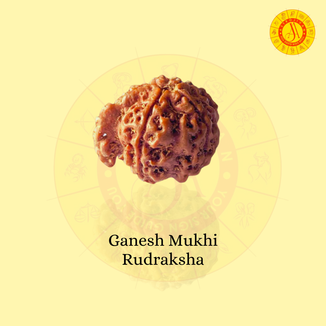 Ganesh Mukhi Rudraksha