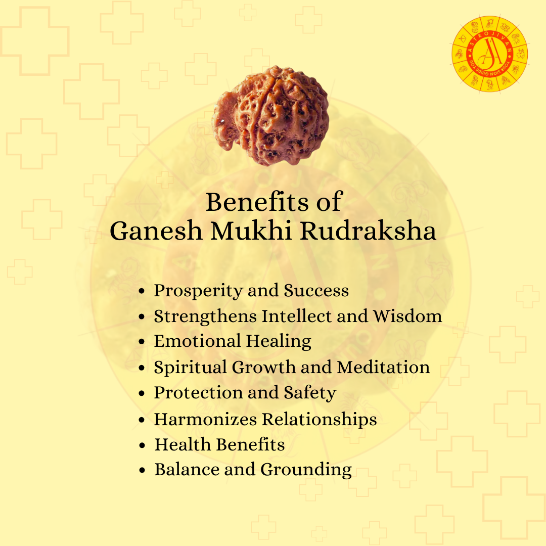 Ganesh Mukhi Rudraksha