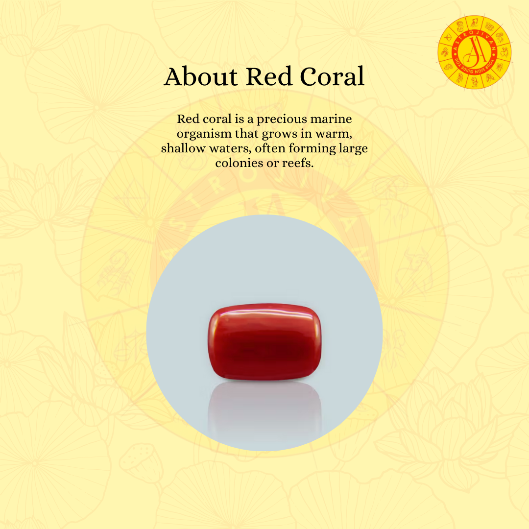 Red Coral – Symbol of Vitality & Protection