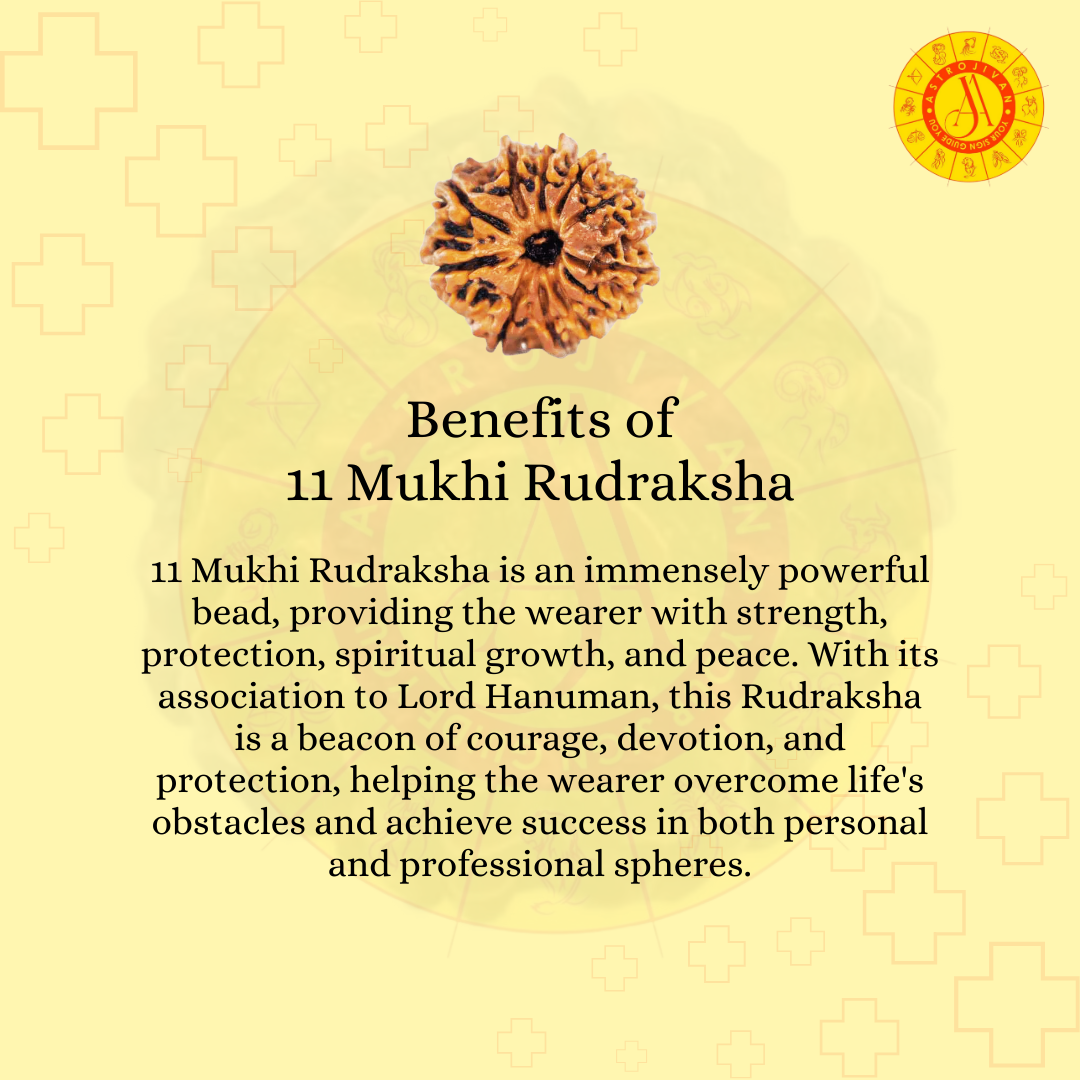 Nepal Origin 11 Mukhi Rudraksha – Symbol of Power, Wisdom & Divine Blessings